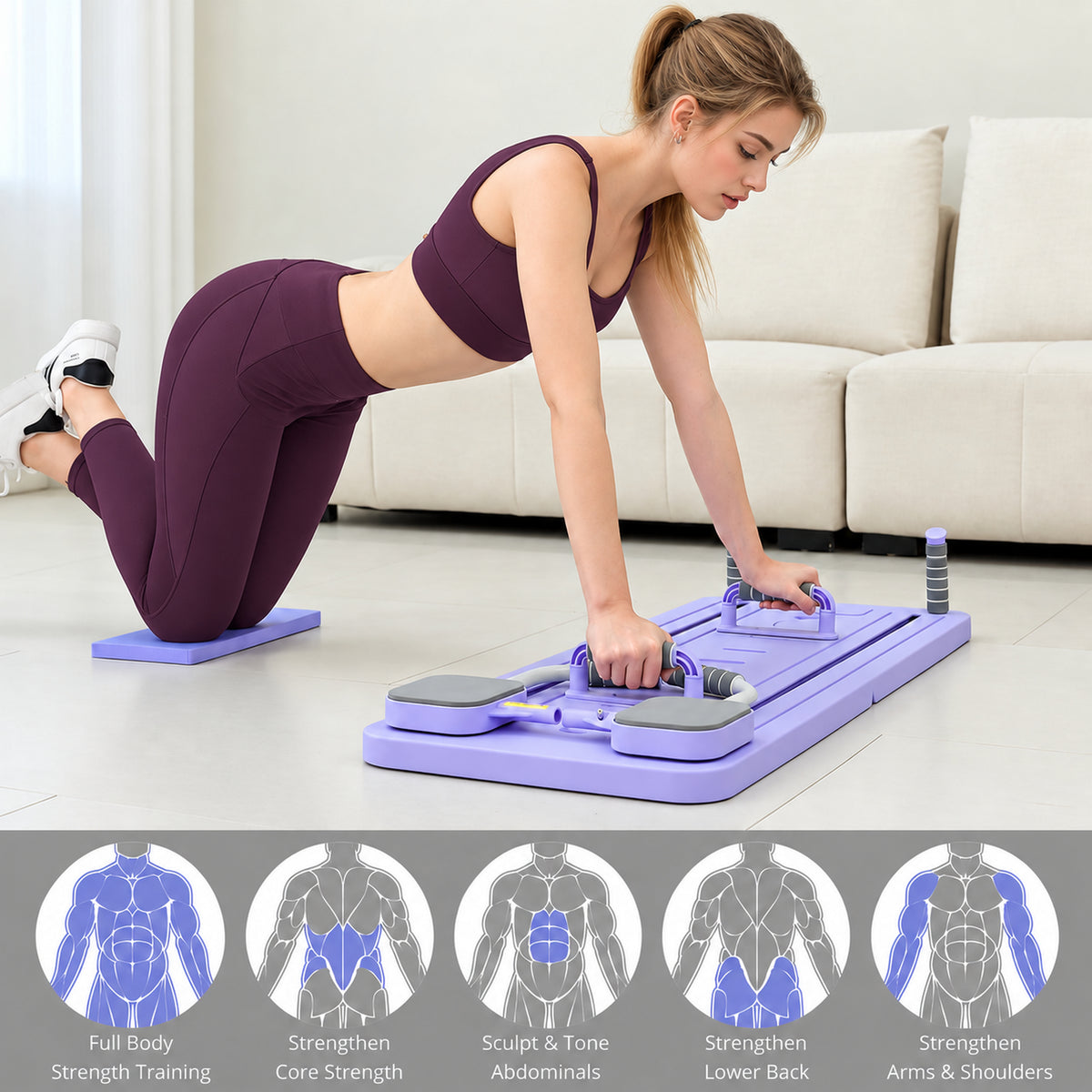 Zones musculaires travaillées avec la planche Pilates ÉLANE